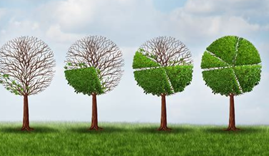 East Akiba Sacco Team